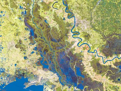 The Atchafalaya Basin (dark green in this satellite image, with the Atchafalaya River running through its center) is almost a million acres of bottomland woods and swamp.