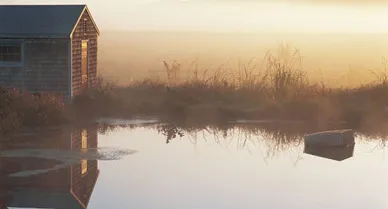 In Barnstable, 6A skirts bayside wetlands (and a fishing shack). The East Coast's largest marsh covers 4,000 acres here.