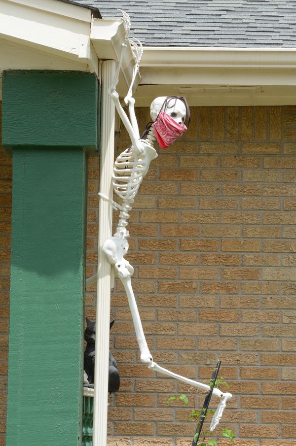 Pandemic Skeleton Halloween Decoration thumbnail