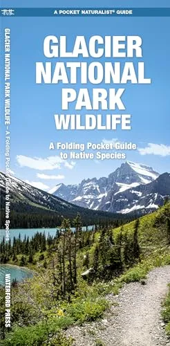 Glacier National Park Wildlife (Nature Observation North America)