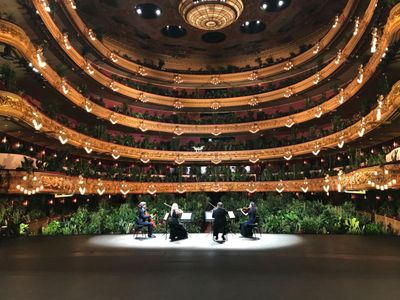 Following the Monday performance, the Barcelona opera house donated its 2,292 houseplants to local health care workers.