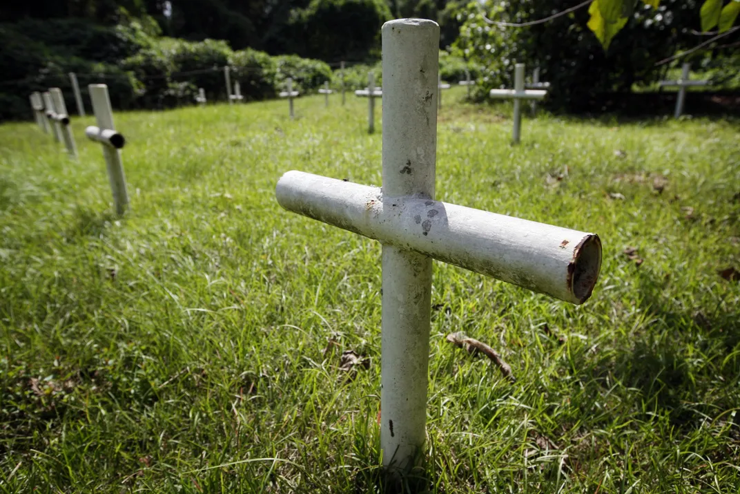 31 crosses