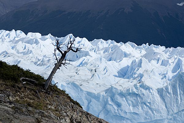 Perito Moreno Glacier, Patagonia, Argentina thumbnail