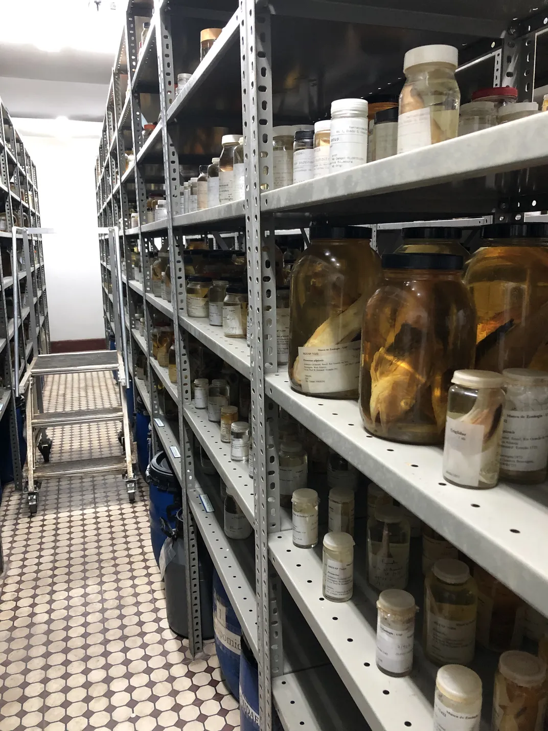 The research team’s specimen collection