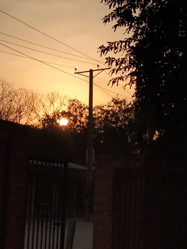 I was entering in the park and the sun sets . I captured this sunset from between the two trees and birds were flying around. thumbnail