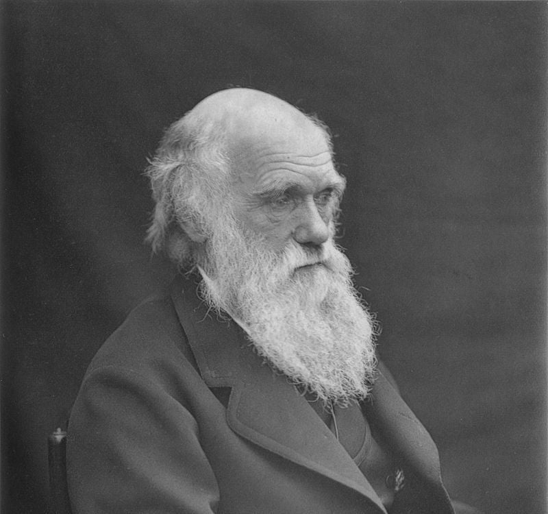 800px-1878_Darwin_photo_by_Leonard_from_Woodall_1884_-_cropped_grayed_partially_cleaned.jpg