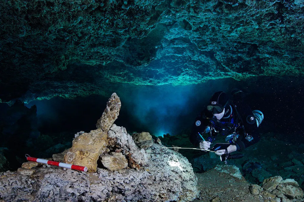 Diver examines rock pile