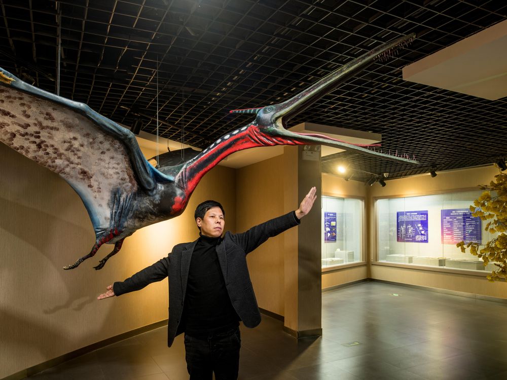 Liu Cun Yu, the director of the Beipiao Pterosaur Museum