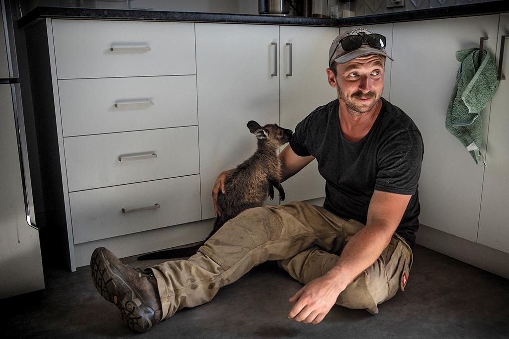 Kailas Wild, an arborist from Sydney who aid- ed rescue efforts on the island, with a young kangaroo. He saved more than 100 koalas.