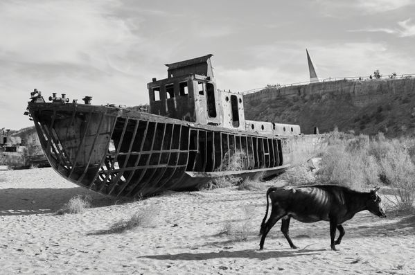 Aral Sea ecological crisis thumbnail
