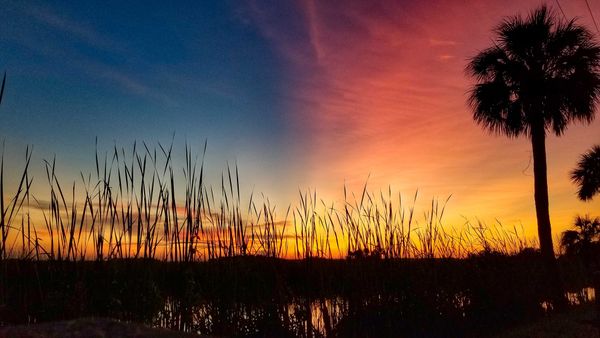 Sunrise over the Everglades thumbnail