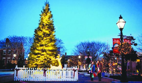 Wide shot of people admiring the Christmas Tree lights at Market Square.