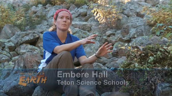 Preview thumbnail for Pikas and Climate Change