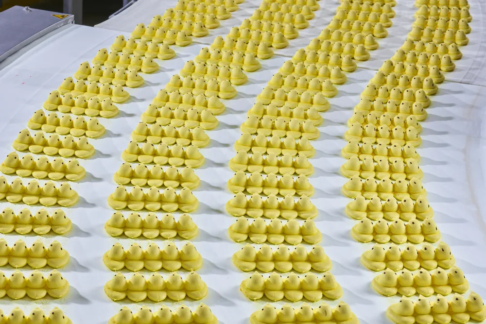 Peeps Marshmallow Chicks cooling on a conveyor belt before packaging, 2023