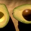 Why the Avocado Should Have Gone the Way of the Dodo icon