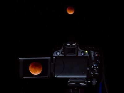 People around the world gathered to photograph and ogle the bright red glow of last night’s supermoon lunar eclipse.