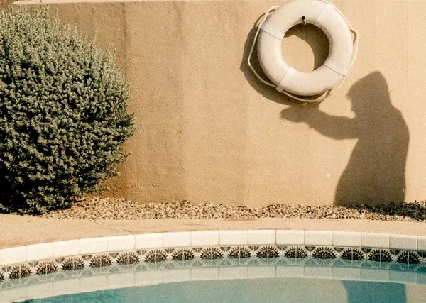 The Shadow Sentinel thumbnail