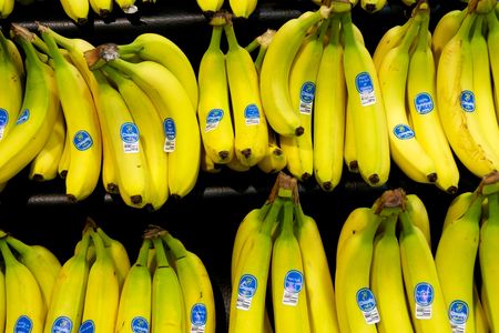 Yes, we have no bananas: Bananas may be plentiful on store shelves today, but since Americans commercially eat only one variety, our banana supply (like many other foods) is vulnerable to disease or other dangers.
