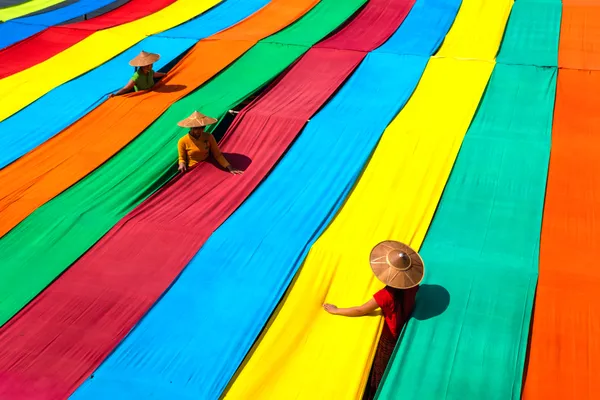 On the Lines of Color thumbnail