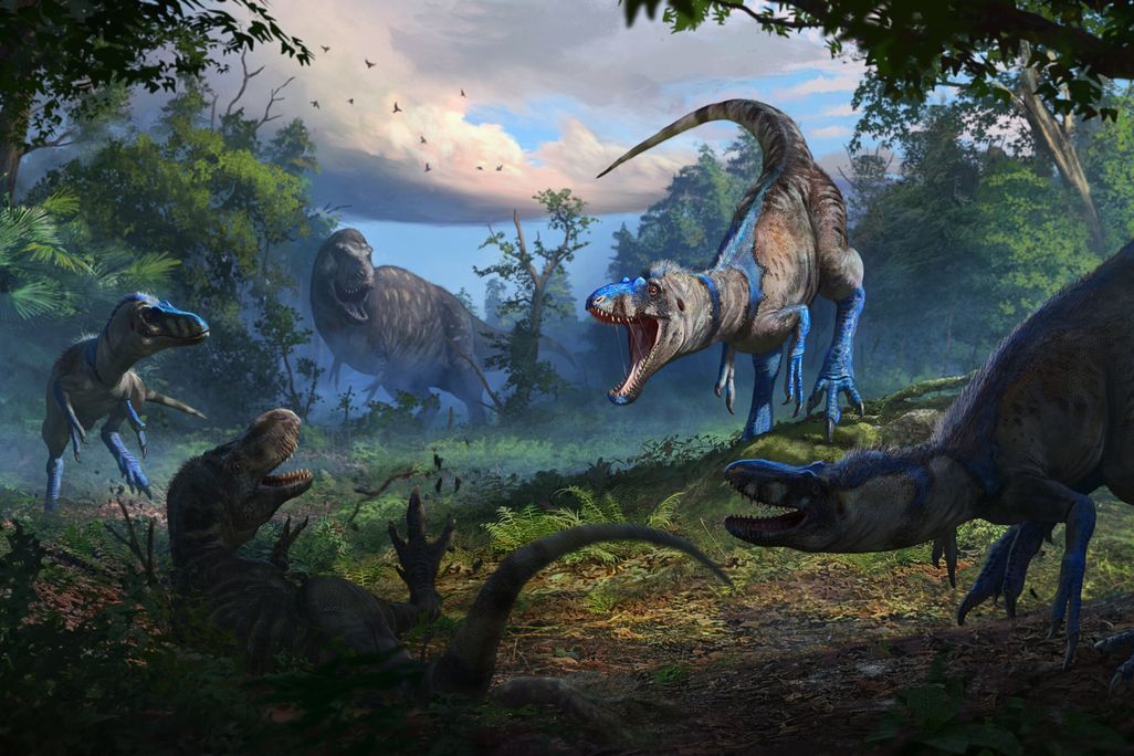 artist's rendition of a pack of nanotyrannus attacking a juvenile t. rex