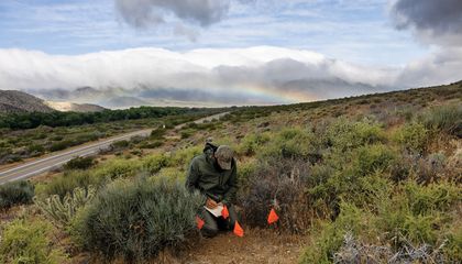 Even as A.I. Technology Races Ahead, the Prehistoric Science of Wildlife Tracking Is Making a Comeback