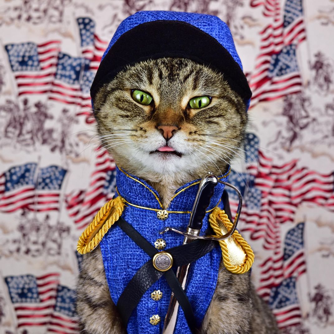 U.S. Army cat