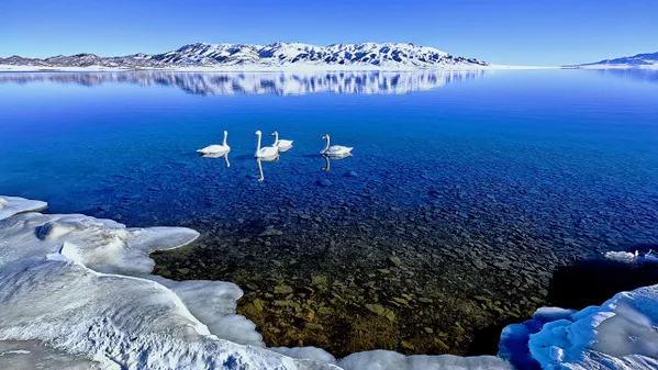 The heartbeat of the winter lake thumbnail