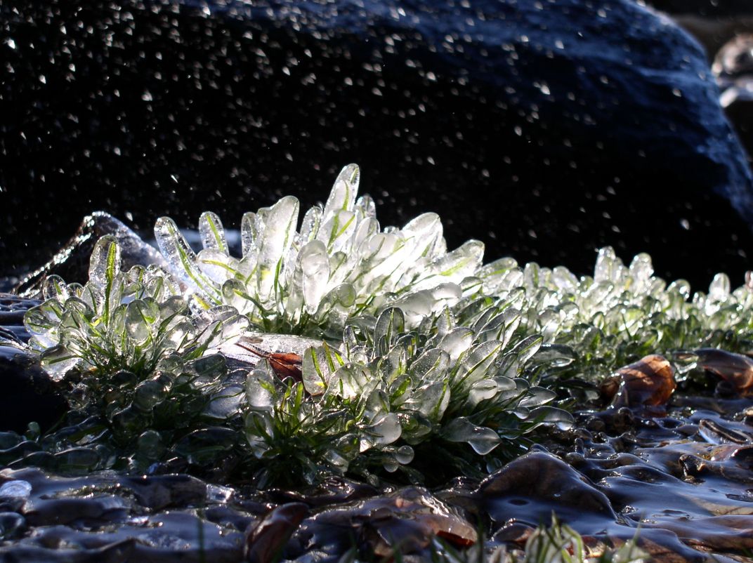 Get an Eyeful of These 15 Photos of Incredibly Cool Icicles