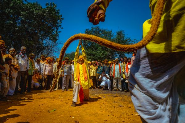 Traditional Whip thumbnail