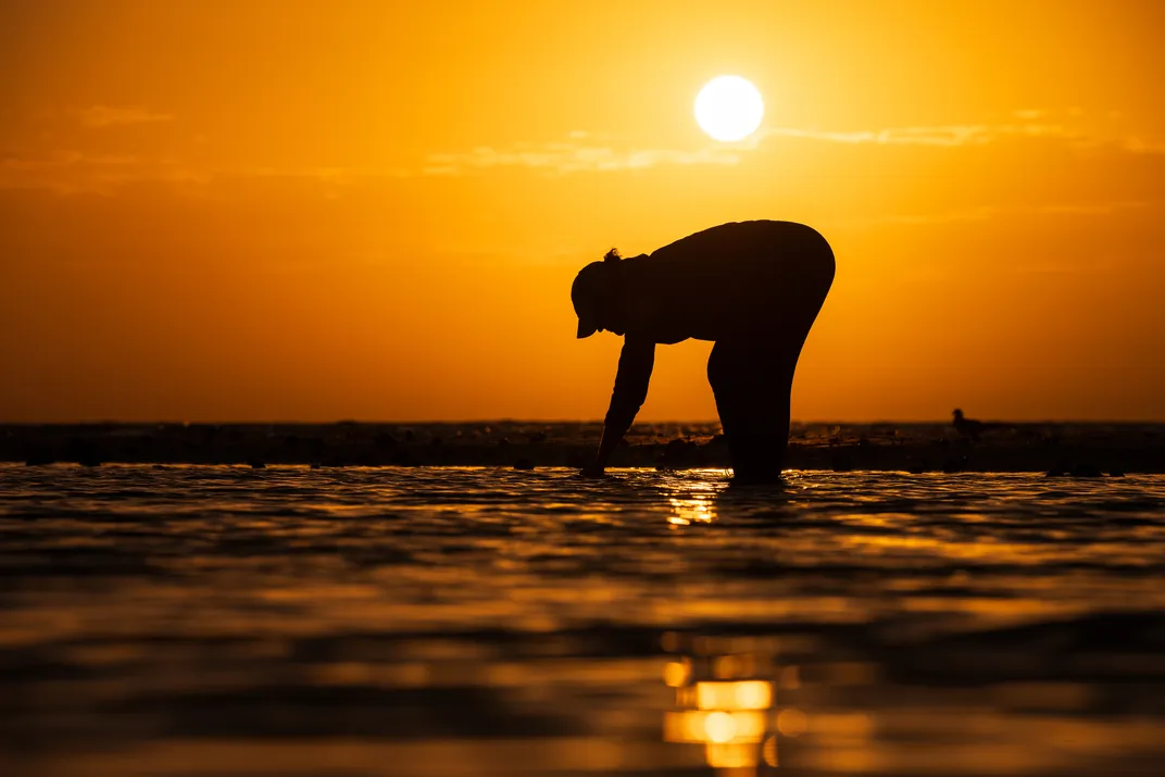 A shell lover looks for treasures in the waters near Sanibel Island.