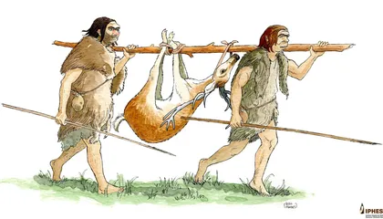 An Unprecedented Trove of Ancient Wooden Tools Uncovered at a Rock Shelter in Spain Shows Neanderthals Were Skilled Woodworkers