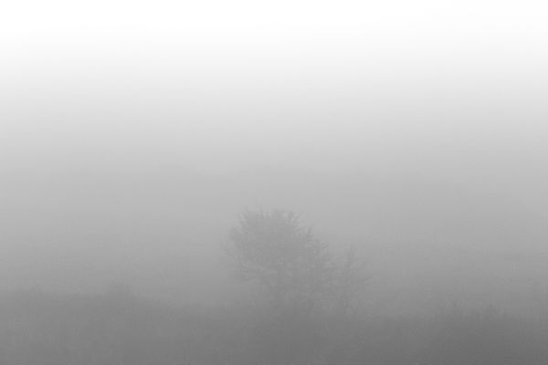 Dissolution thumbnail