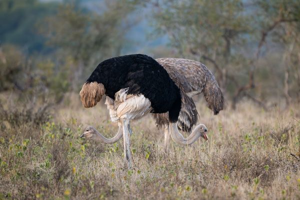 In Perfect Symmetry thumbnail