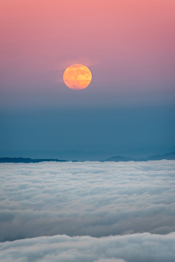 Moon Glow thumbnail