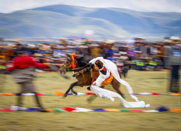 Horse Racing to Pick up Hada thumbnail