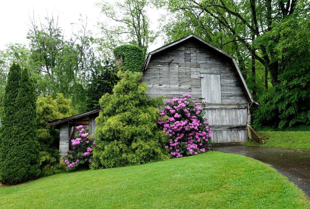 Blooming Barn in Maggie Valley Smithsonian Photo Contest