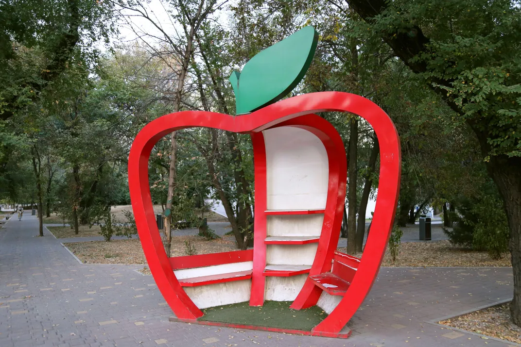 apple street shelter in Almaty, Kazakhstan