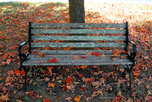 Autumn Bench thumbnail