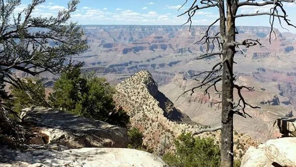 The Depths of the Grand Canyon  thumbnail