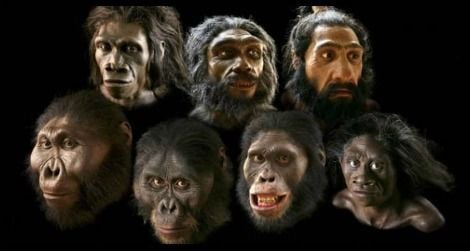 What if we could make masks to look like these models in the Natural History Museum's Hall of Human Origins?