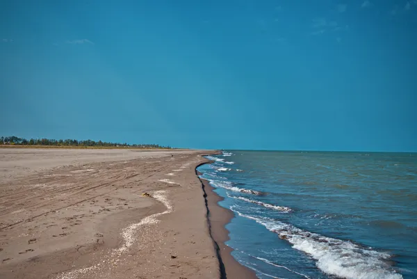 The border thumbnail