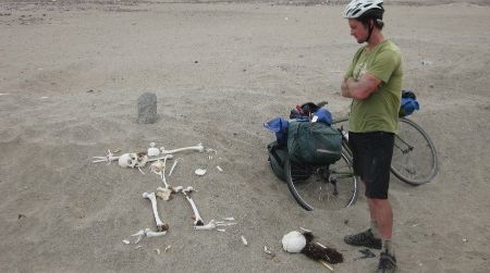 Accompanied by a mat of long brown hair, these broken bones on the side of the highway most likely belonged to a woman.