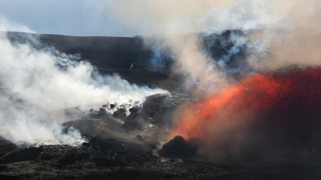 a white bird flies above smoke and lava