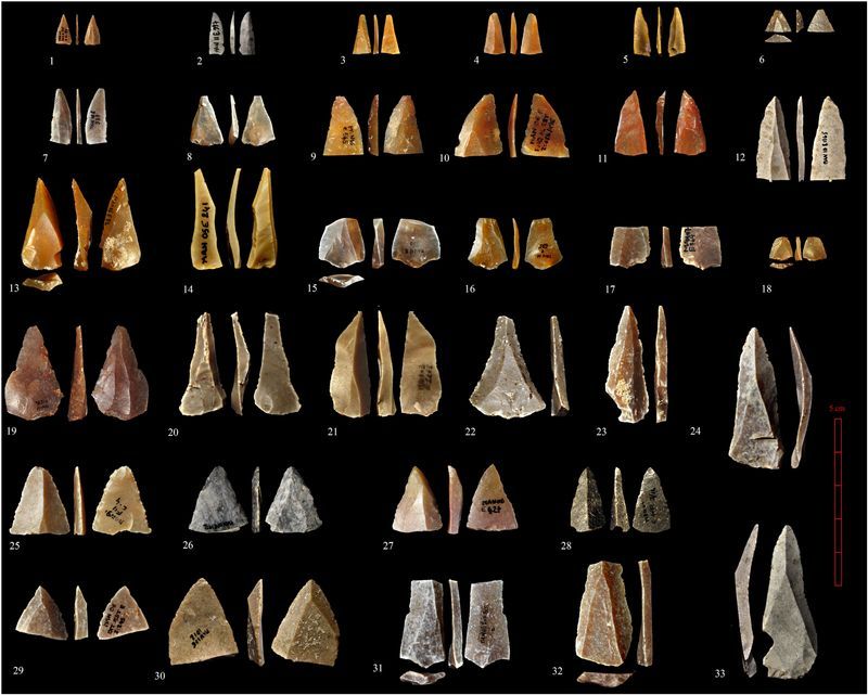 Stone Tools