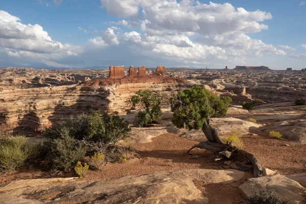 A monumental world of standing rocks rising from Utah's Canyonlands thumbnail