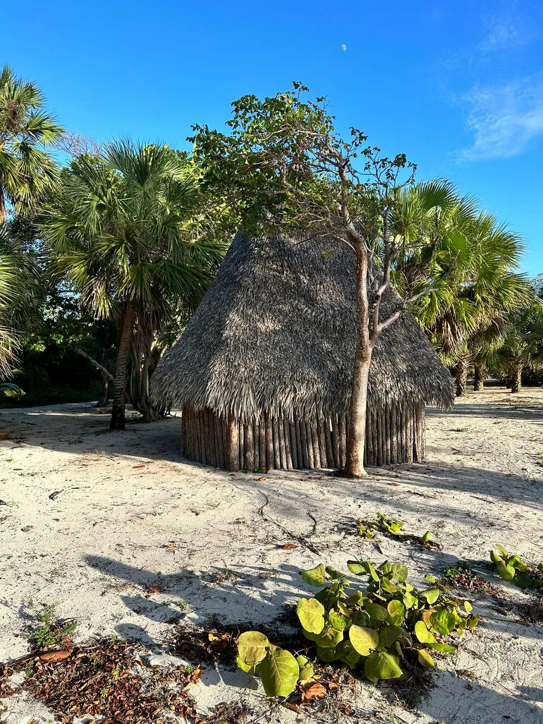 A recreation of a Lucayan house in Clifton, the Bahamas