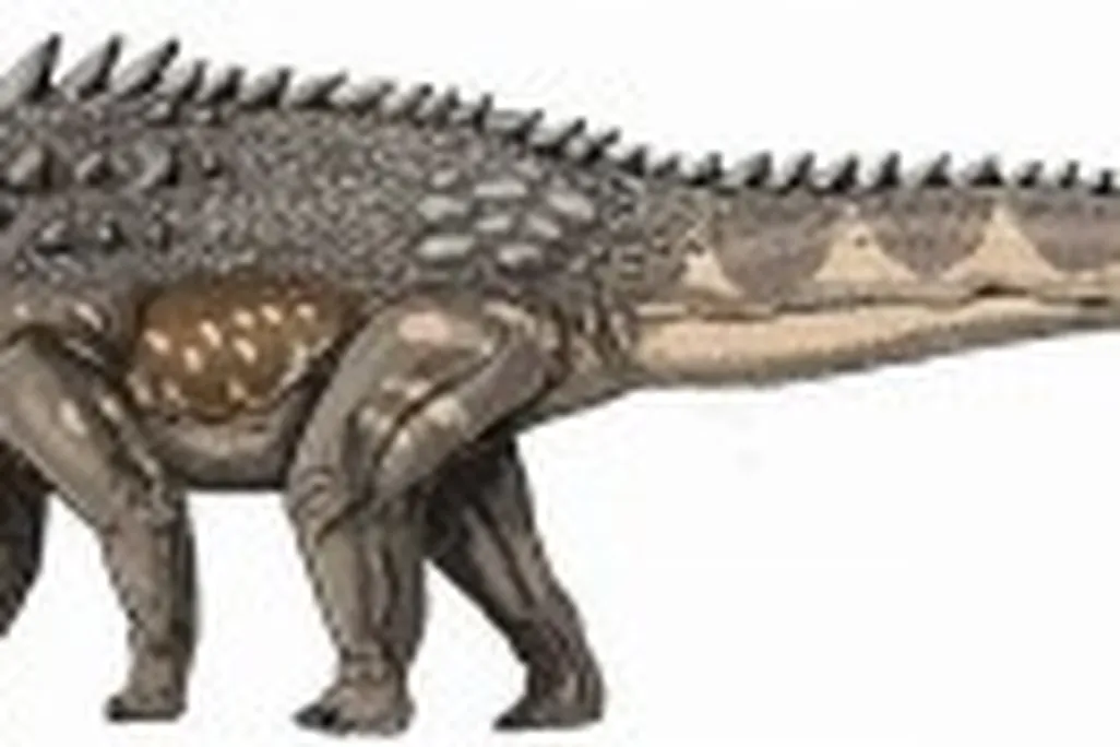 20110520083256Ampelosaurus-restoration-300x88.jpg