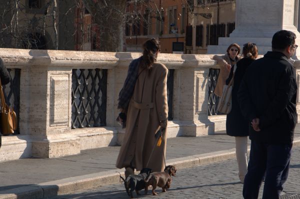 Rush, excitement and cuteness all together! thumbnail