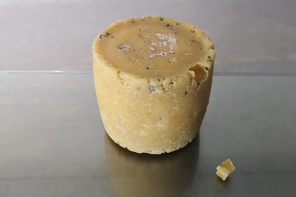 Cheese