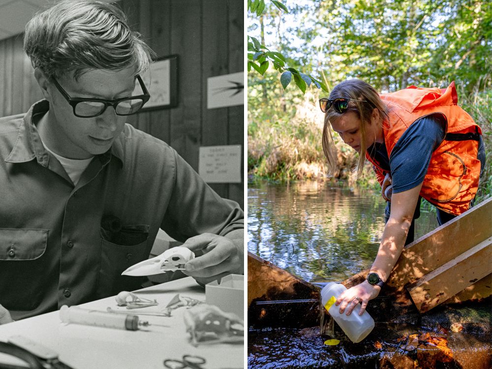 Six Ways the Smithsonian Shaped Environmental Science in 60 Years ...